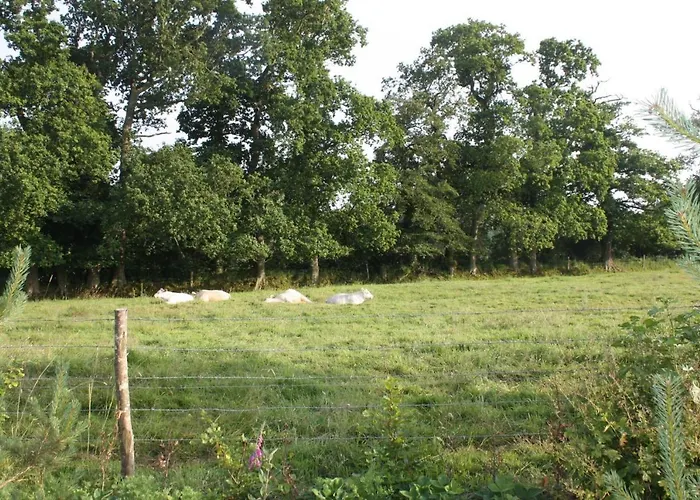 度假居 Ecuries De Coqueretaumont